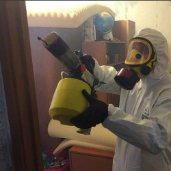 Уничтожение клопов в квартире. Старый Оскол